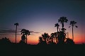 Lever de soleil dans le Kalahari - Makgadikgadi pans - Botswana 
 Lever de soleil dans le Kalahari - Makgadikgadi pans - Botswana  