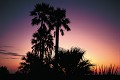 Lever de soleil dans le Kalahari - Makgadikgadi pans - Botswana 
 Lever de soleil dans le Kalahari - Makgadikgadi pans - Botswana  