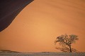 Désert du Namib - Sossusvleï - Namibie 
 Désert du Namib - Sossusvleï - Namibie  
