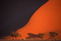 Désert du Namib - dunes - Sossusvleï - Namibie 
 Désert du Namib - dunes - Sossusvleï - Namibie  