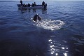 Baleine grise (Eschrichtius robustus) et touristes  Basse-Californie lagune de San Ignacio  Mexique 
 Baleine grise (Eschrichtius robustus) et touristes 
 Basse-Californie lagune de San Ignacio 
 Mexique  