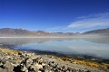 Altiplano, Cordillère des Andes, La Laguna blanca, Bolivie 
 Altiplano 
 Cordillère des Andes 
 La Laguna blanca 
 Bolivie  