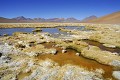 Altiplano, Cordillère des Andes, Laguna Polquès, Bolivie 
 Altiplano 
 Cordillère des Andes 
 Laguna Polquès 
 Bolivie  