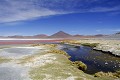Altiplano, Cordillère des Andes, Laguna Colorada, Bolivie 
 Altiplano 
 Cordillère des Andes 
 Laguna Colorada 
 Bolivie  
