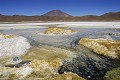 Altiplano, Cordillère des Andes, laguna Chiar Kkota, Bolivie 
 Altiplano 
 Cordillère des Andes 
 laguna Chiar Kkota 
 Bolivie  