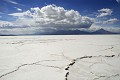 Altiplano;  Salar d'Uyuni; Ile d' Incahuasi et ses grands cactus; Bolivie 
 Altiplano 
 Salar d'Uyuni 
 Ile d' Incahuasi et ses grands cactus 
 Bolivie  