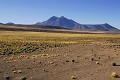 Désert d'Atacama - route de Paso Sico -  Chili (nord) 
 Désert d'Atacama - route de Paso Sico - Chili (nord)  