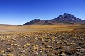 Désert d'Atacama - route de Paso Sico - Chili (nord) 
 Désert d'Atacama - route de Paso Sico - Chili (nord)  
