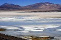Désert d'Atacama - route de Paso Sico lagune d'Aguas calientès - Chili (nord) 
 Désert d'Atacama - route de Paso Sico lagune d'Aguas calientès - Chili (nord)  