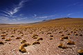 Désert d'Atacama - route de Paso Sico - Chili (nord) 
 Désert d'Atacama - route de Paso Sico - Chili (nord)  