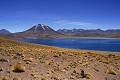 Désert d'Atacama - route de Paso Sico lagune de Miscanti - Chili (nord) 
 Désert d'Atacama - route de Paso Sico lagune de Miscanti - Chili (nord)  