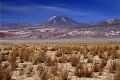 Désert d'Atacama  - Chili (nord) 
 Désert d'Atacama 
 - Chili (nord)  