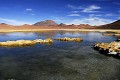 Désert d'Atacama - Salar de Pujsa - Chili (nord) 
 Désert d'Atacama - Salar de Pujsa - Chili (nord)  
