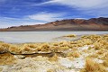 Désert d'Atacama -  Salar de Tara - Chili (nord) 
 Désert d'Atacama - 
 Salar de Tara - Chili (nord)  