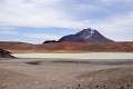 Désert d'Atacama - route du Paso Guatiquina -Aguas Calinente - Chili 
 Désert d'Atacama - route du Paso Guatiquina -Aguas Calinente - Chili  