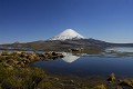 Lac Chungara (alt. 4517 m) et le volcan Parinacota - (alt. 6345 m) - PN Lauca - Chili (nord) 
 Lac Chungara (alt. 4517 m) et le volcan Parinacota - (alt. 6345 m) - PN Lauca - Chili (nord)  