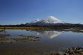 Lagune de Cotacotani et les volcans Parinacota (6345 m) et Pomerape (6240 m), nord Chili PN Lauca 
 Lagune de Cotacotani et les volcans Parinacota (6345 m) et Pomerape (6240 m) 
 nord Chili PN Lauca  