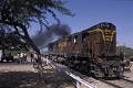 Jodhpur, le train au passage à niveau, Rajasthan, Inde 
 Jodhpur 
 le train au passage à niveau 
 Rajasthan 
 Inde  